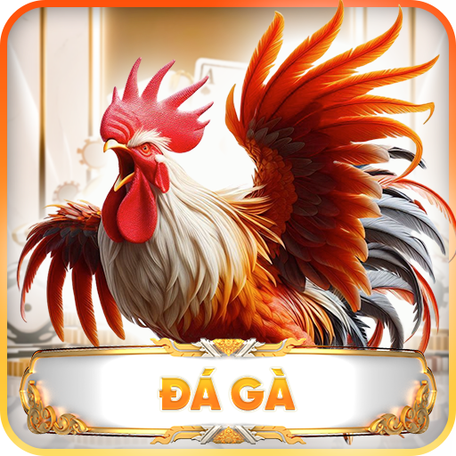 đá gà