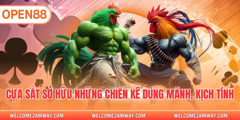 Cựa sắt sở hữu những chiến kê dũng mãnh, kịch tính